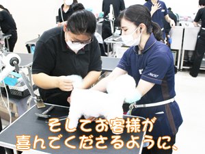 夏休みもトリミング実習♪